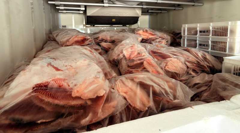 Decon apreende cinco toneladas de pescado irregular em Campo Grande